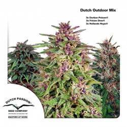 DUTCH OUTDOOR MIX ·  Dutch...