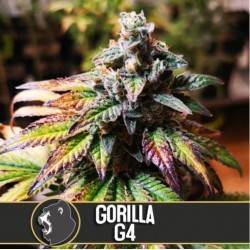 Gorilla Glue 4 · Blimburn...