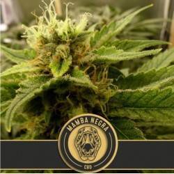 Mamba Negra CBD · Blimburn...