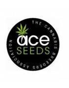 ACE Seeds