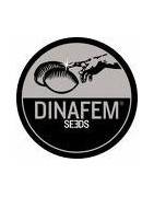 Dinafem Feminized Seeds